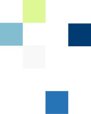 Category Footer Pixel Footer